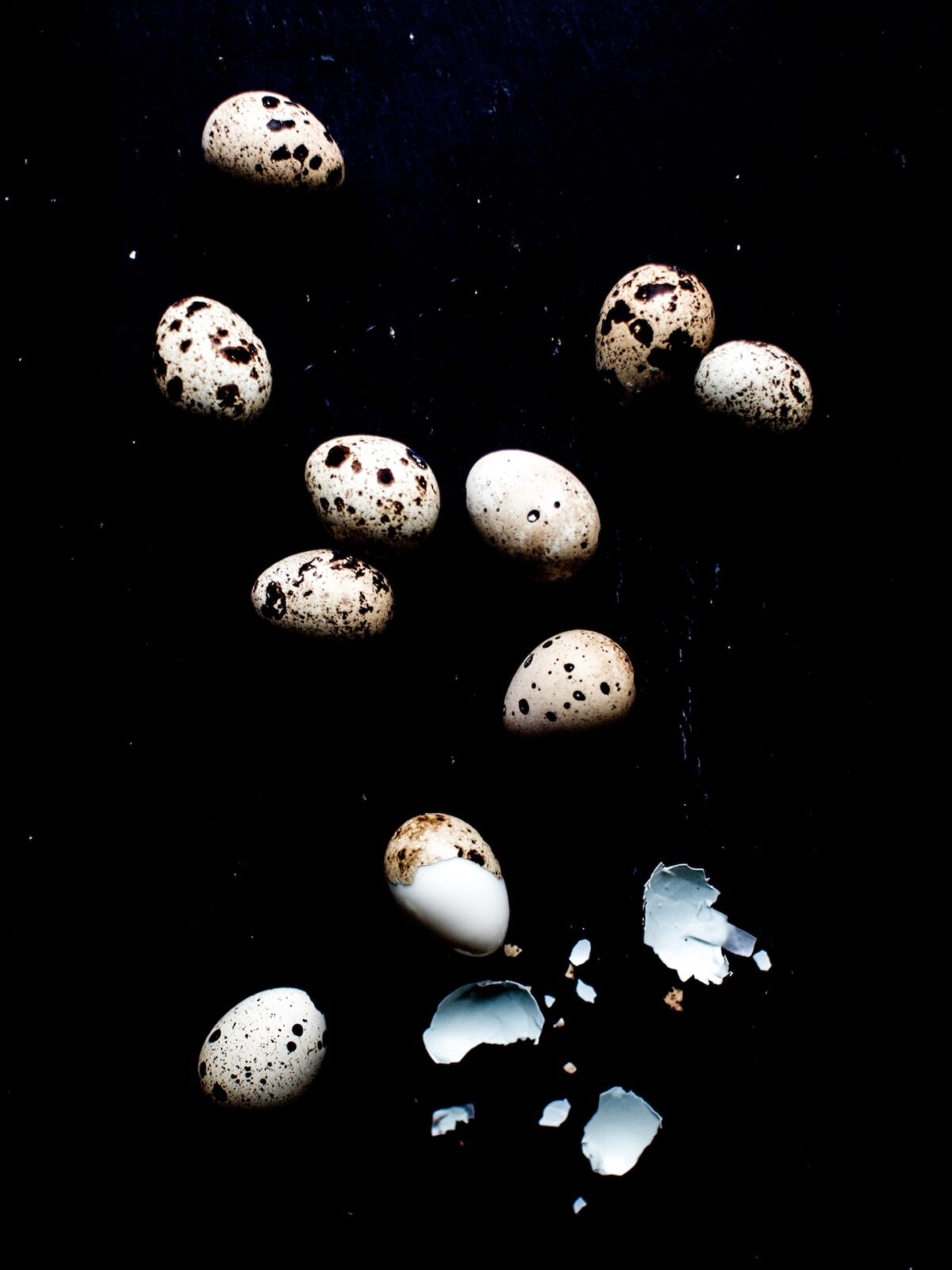 图集 | Gallery